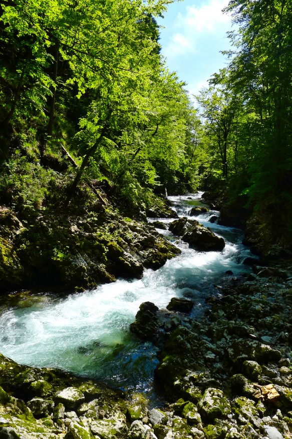 Gorges de Vingtar - Slovenie - 1