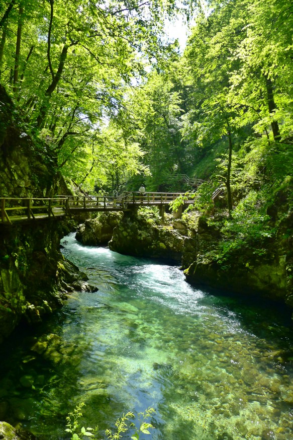 Gorges de Vingtar - Slovenie - 3