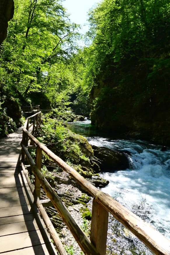 Gorges de Vingtar - Slovenie - 5