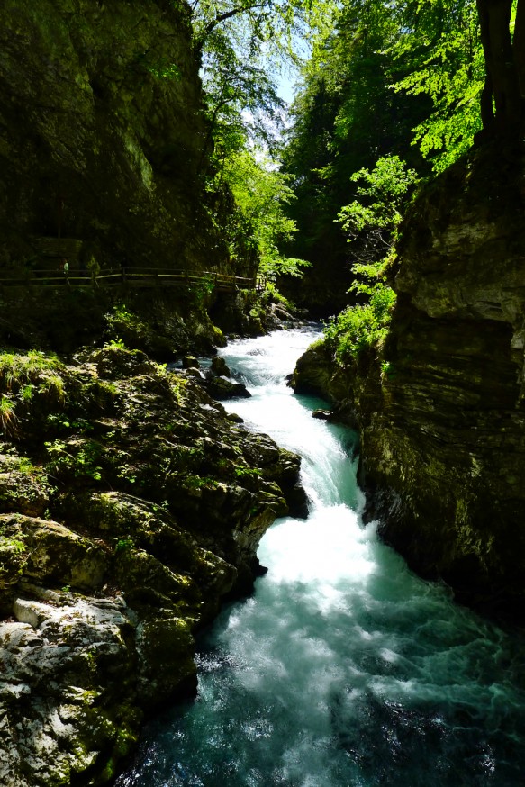 Gorges de Vingtar - Slovenie - 6