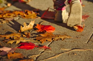 Petits pas dans les feuilles mortes - Automne - Darmstadt Bessungen