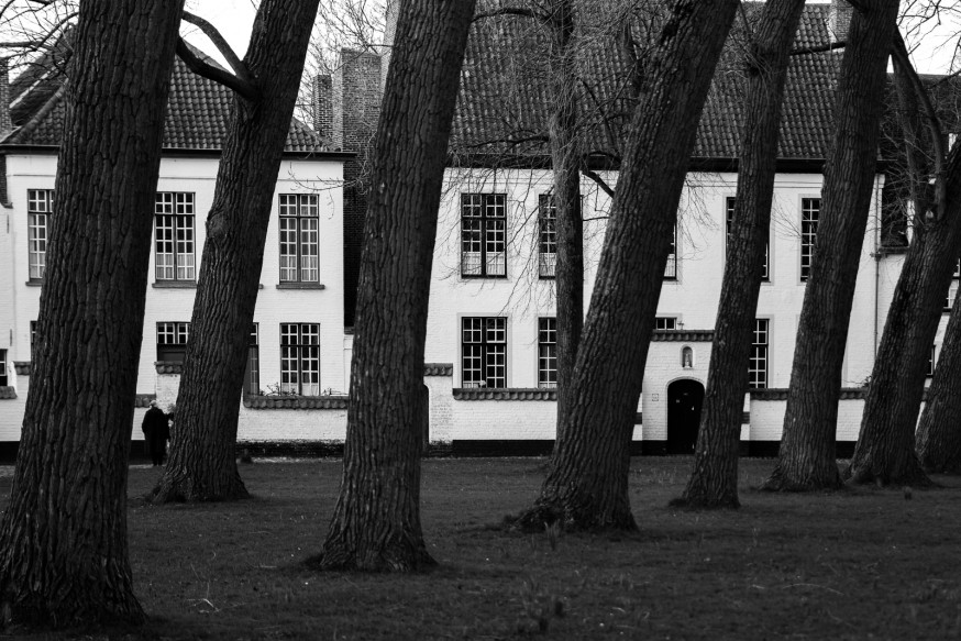 Bruges - Beguinages - Cour principale