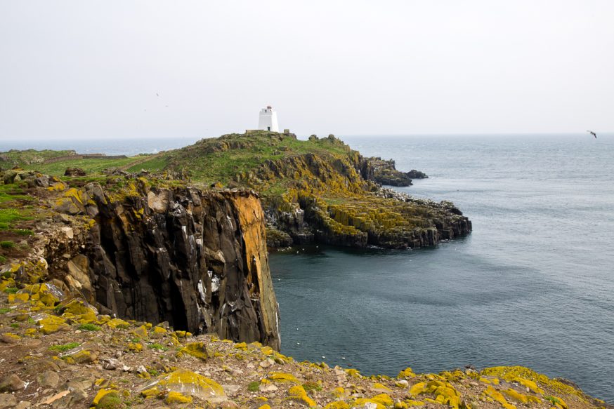 Anstruther-IsleOfMay-46