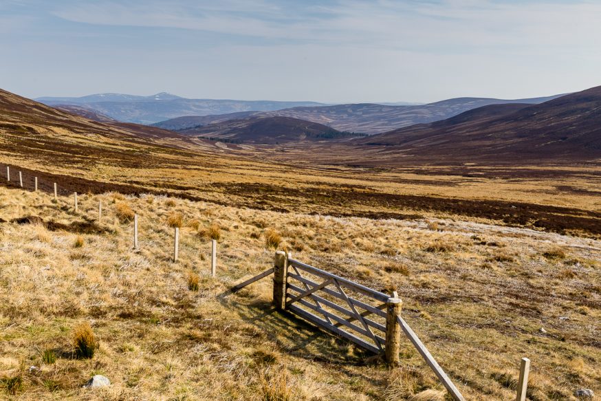 Cairngorms-1