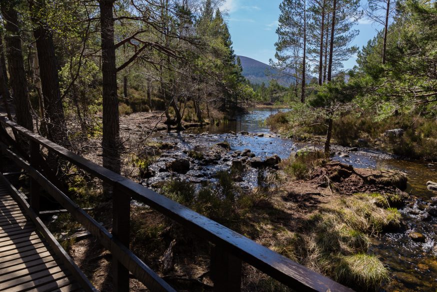 Rothiemurchus Cairngorms-loch an eilein-3