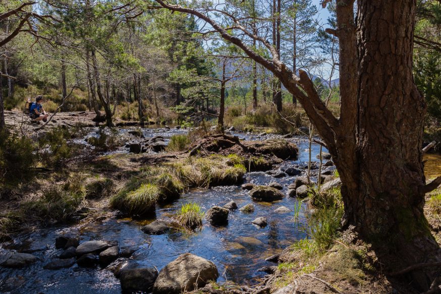 Rothiemurchus Cairngorms-loch an eilein-4