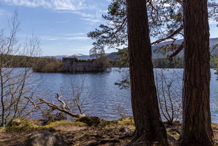 Rothiemurchus Cairngorms-loch an eilein-7