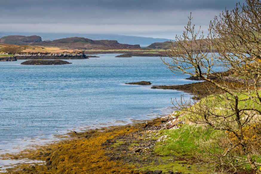 Dunvegan-Castle-jardins-2